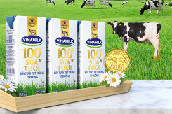Vinamilk lãi hơn 3.100 tỉ đồng trong quí III năm nay