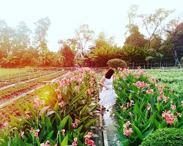 Bật mí 5 địa điểm ngắm hoa cho các cặp đôi nhân ngày 20/10 quanh Sài Gòn - Ảnh 3. Bật mí 5 địa điểm ngắm hoa cho các cặp đôi nhân ngày 20/10 quanh Sài Gòn - Ảnh 3.