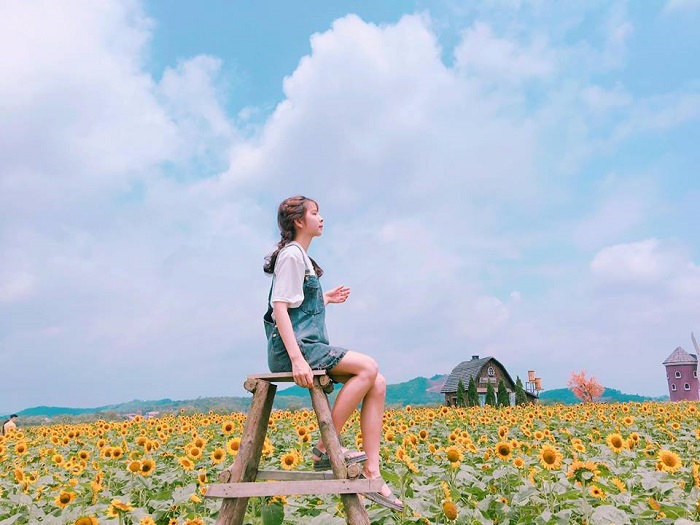 Bật mí 5 địa điểm ngắm hoa cho các cặp đôi nhân ngày 20/10 quanh Sài Gòn - Ảnh 6. Bật mí 5 địa điểm ngắm hoa cho các cặp đôi nhân ngày 20/10 quanh Sài Gòn - Ảnh 6.