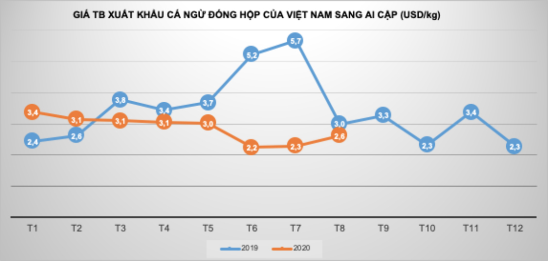 Xuất khẩu cá ngừ sang Ai Cập tăng mạnh - Ảnh 1. Xuất khẩu cá ngừ sang Ai Cập tăng mạnh - Ảnh 1.