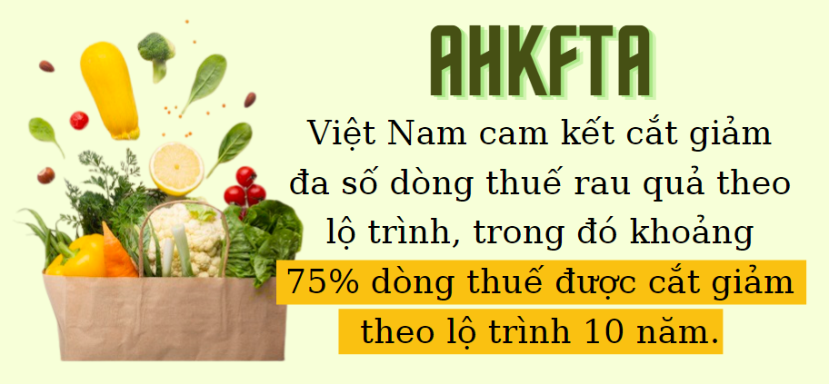 Đồ họa: TV