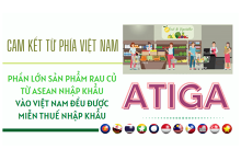 Cam kết về thuế quan với mặt hàng rau quả trong ATIGA