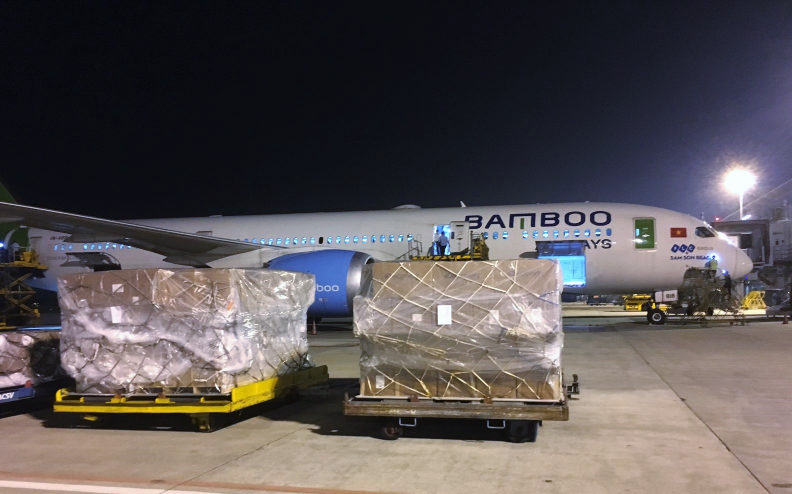 Bamboo Airways gia nhập cuộc đua chở hàng hóa - Ảnh 1. Bamboo Airways gia nhập cuộc đua chở hàng hóa - Ảnh 1.
