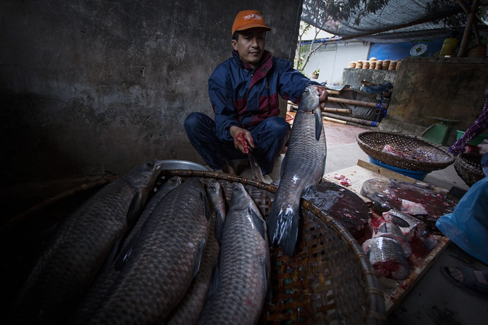 Cá kho làng Vũ Đại, món đặc sản lừng danh của miền quê Hà Nam - Ảnh 3.