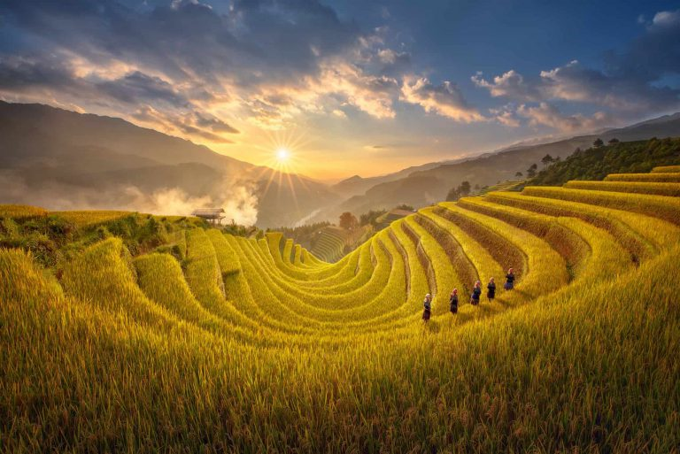 Du lịch Sapa tháng 10, chìm đắm trong vẻ đẹp thiên nhiên của vùng núi Tây Bắc - Ảnh 2. Du lịch Sapa tháng 10, chìm đắm trong vẻ đẹp thiên nhiên của vùng núi Tây Bắc - Ảnh 2.