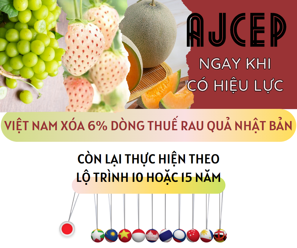 AJCEP: Cam kết về thuế quan với mặt hàng rau quả - Ảnh 1. AJCEP: Cam kết về thuế quan với mặt hàng rau quả - Ảnh 1.