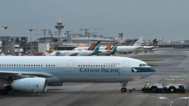 IATA hợp tác với WHO để hành khách không phải cách li khi đi máy bay - Ảnh 1. IATA hợp tác với WHO để hành khách không phải cách li khi đi máy bay - Ảnh 1.