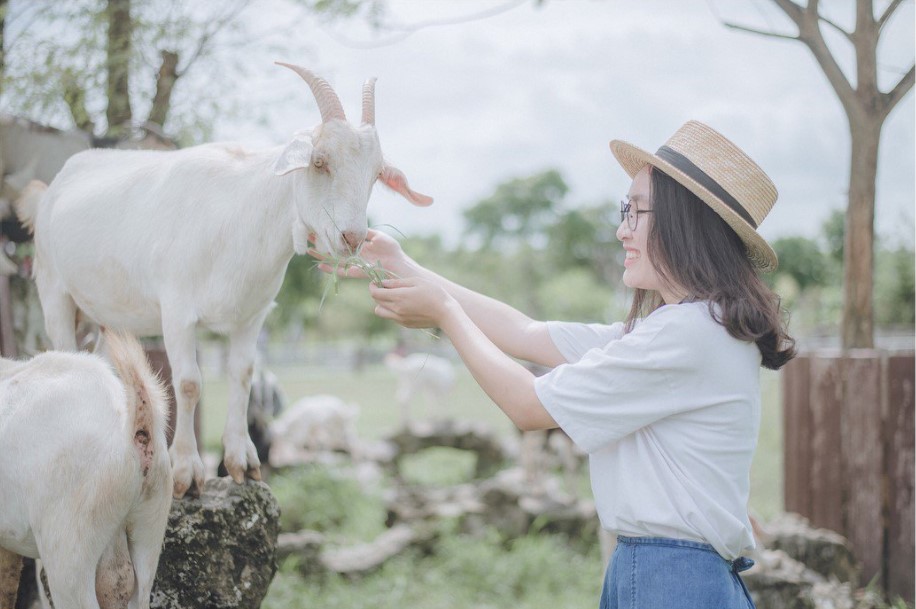 Check-in 4 địa điểm chụp ảnh thơ mộng tại Sài Gòn trong ngày 20/10 - Ảnh 14. Check-in 4 địa điểm chụp ảnh thơ mộng tại Sài Gòn trong ngày 20/10 - Ảnh 14.