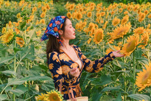 Mê mẩn vẻ đẹp cánh đồng hoa hướng dương nổi tiếng tại Nghệ An