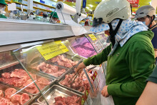 Nhập khẩu heo sống từ Thái Lan đóng băng do giá heo hơi giảm