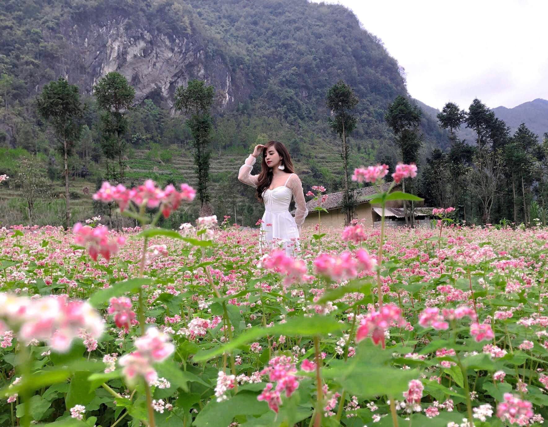 Tour du lịch Hà Giang mùa hoa tam giác mạch: Nhiều điểm đến hấp dẫn với chi phí chỉ từ 2,1 triệu đồng  - Ảnh 7.