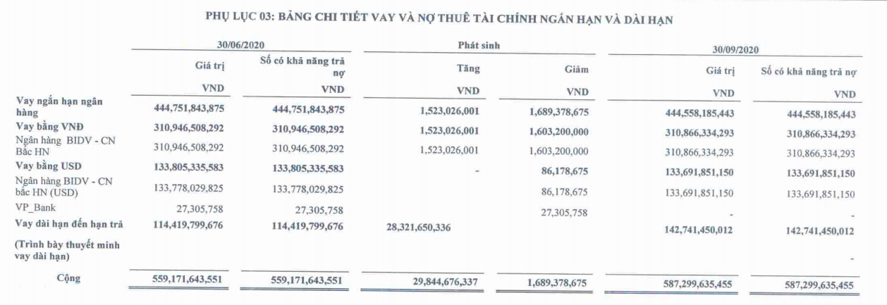 FTM lỗ quí thứ 7 liên tiếp, gần 300 tỉ đồng lãi vay phải trả cho ngân hàng - Ảnh 3.