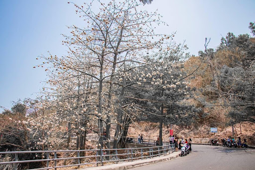 Lên ngọn hải đăng cổ, ngắm thành phố biển Vũng Tàu xinh đẹp - Ảnh 2. Lên ngọn hải đăng cổ, ngắm thành phố biển Vũng Tàu xinh đẹp - Ảnh 2.