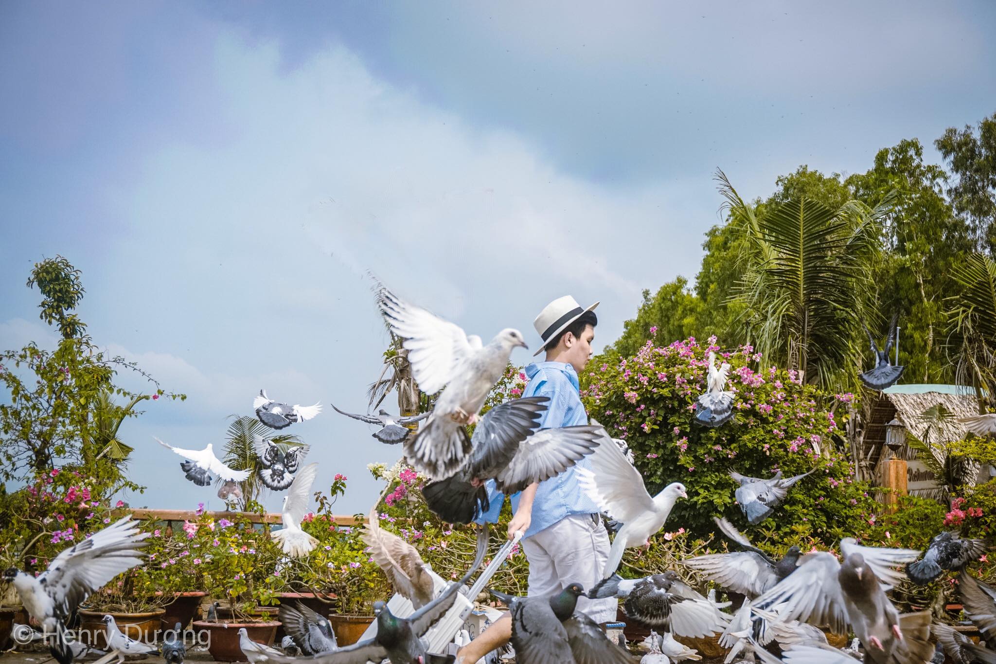 Hành trình khám phá những địa điểm đẹp nhất tại rừng tràm Trà Sư, An Giang - Ảnh 4. Hành trình khám phá những địa điểm đẹp nhất tại rừng tràm Trà Sư, An Giang - Ảnh 4.