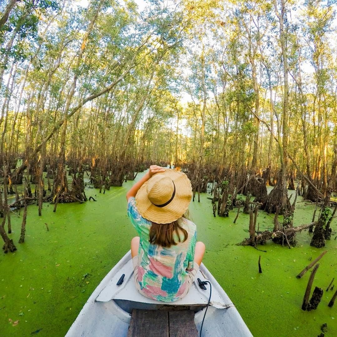 Hành trình khám phá những địa điểm đẹp nhất tại rừng tràm Trà Sư, An Giang - Ảnh 9. Hành trình khám phá những địa điểm đẹp nhất tại rừng tràm Trà Sư, An Giang - Ảnh 9.