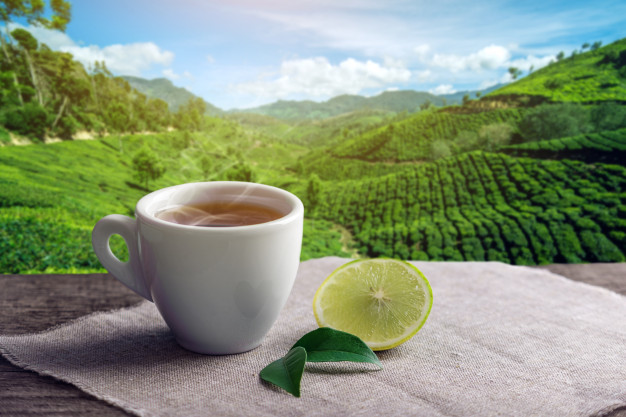 Xuất nhập khẩu Việt Nam và Indonesia tháng 9/2020: Kim ngạch hai chiều gần 726 triệu USD - Ảnh 1. Xuất nhập khẩu Việt Nam và Indonesia tháng 9/2020: Kim ngạch hai chiều gần 726 triệu USD - Ảnh 1.