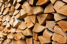 Chi tiết danh sách một số doanh nghiệp Senegal bán buôn gỗ