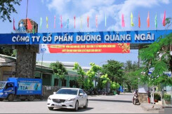 CEO Đường Quảng Ngãi muốn gom 1 triệu cp QNS sau khi mua bất thành