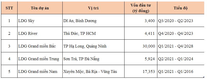 LDG Group kinh doanh ra sao trước khi bị phạt vi phạm xây dựng tại dự án Viva Park - Ảnh 4.