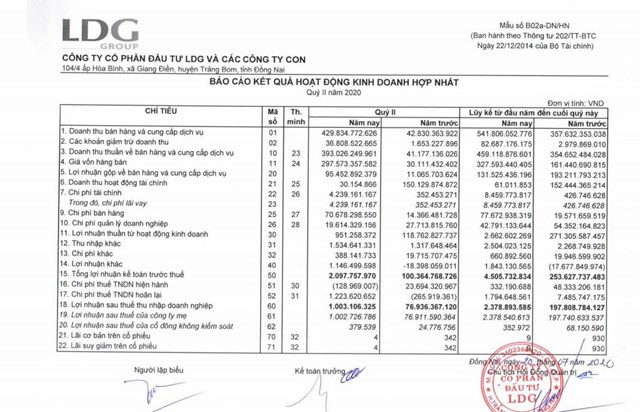 LDG Group kinh doanh ra sao trước khi bị phạt vi phạm xây dựng tại dự án Viva Park - Ảnh 2.