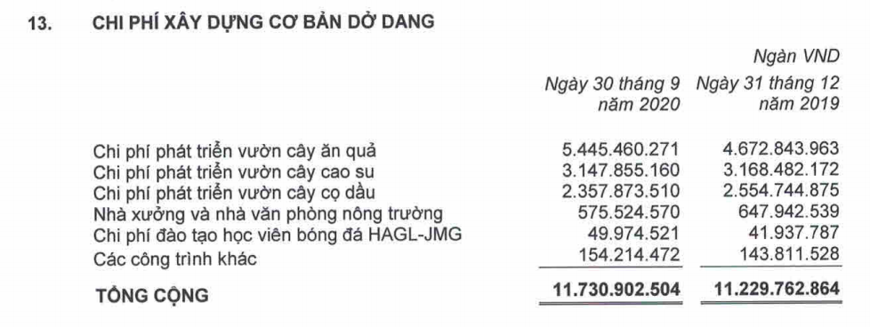 HAGL lỗ sau thuế quí III gần 570 tỉ đồng do không còn nguồn thu tài chính - Ảnh 2.