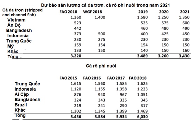 Sản lượng cá thịt trắng có thể tăng 4,3% năm 2021 - Ảnh 1.