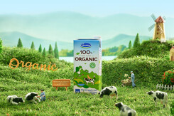 Vinamilk ổn định lợi nhuận trên 3.000 tỉ, giúp GTNfoods và Mộc Châu Milk tăng trưởng sau M&A