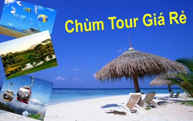 Thông Tin Tour Du Lịch Trong Nước Mới Nhất Năm 2020