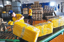 Xuất khẩu cao su tăng gần 53% trong tháng 9