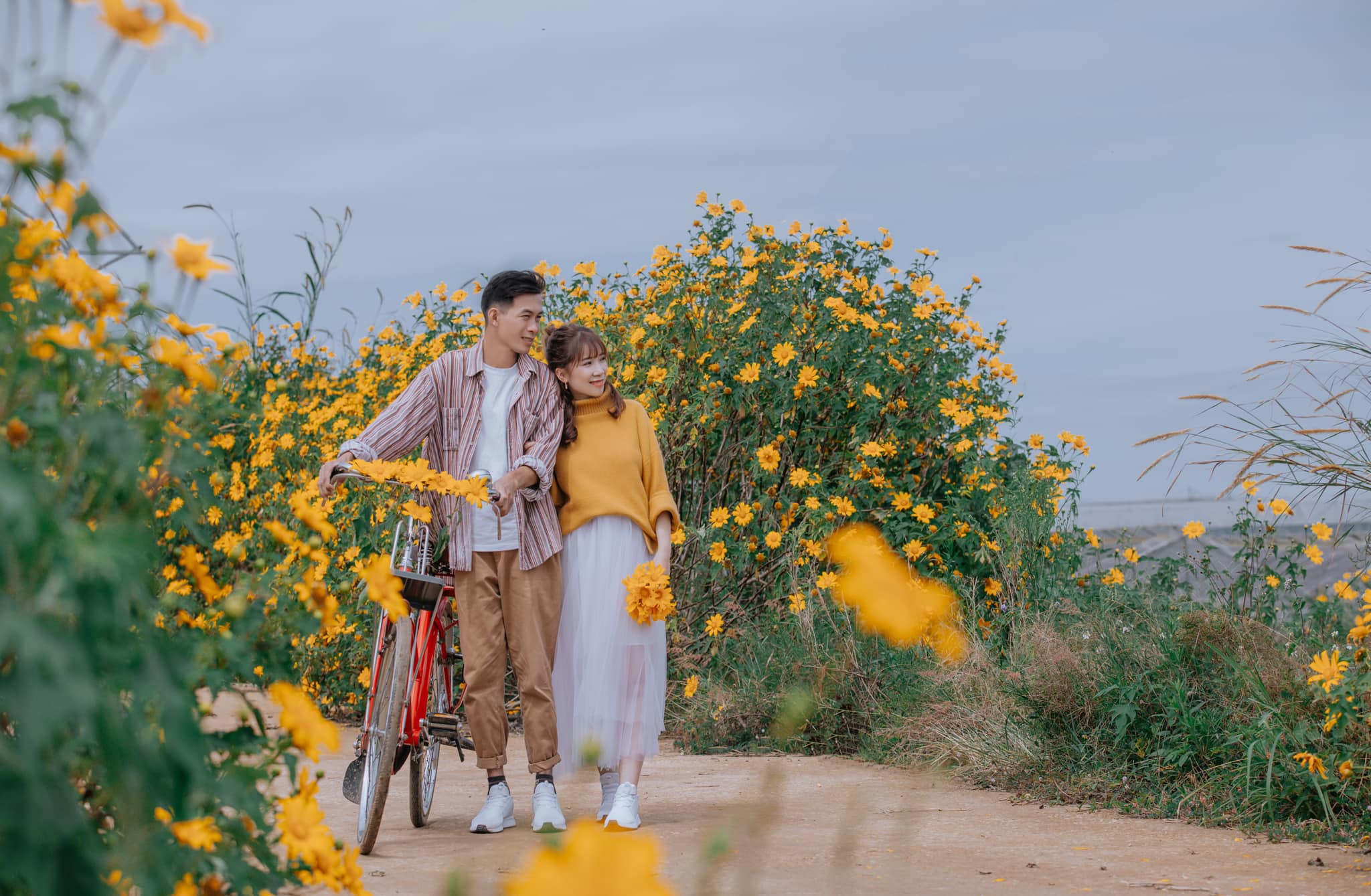 Ngắm Đà Lạt mùa hoa dã quỳ qua bộ ảnh lãng mạn của cặp đôi trẻ - Ảnh 4. Ngắm Đà Lạt mùa hoa dã quỳ qua bộ ảnh lãng mạn của cặp đôi trẻ - Ảnh 4.