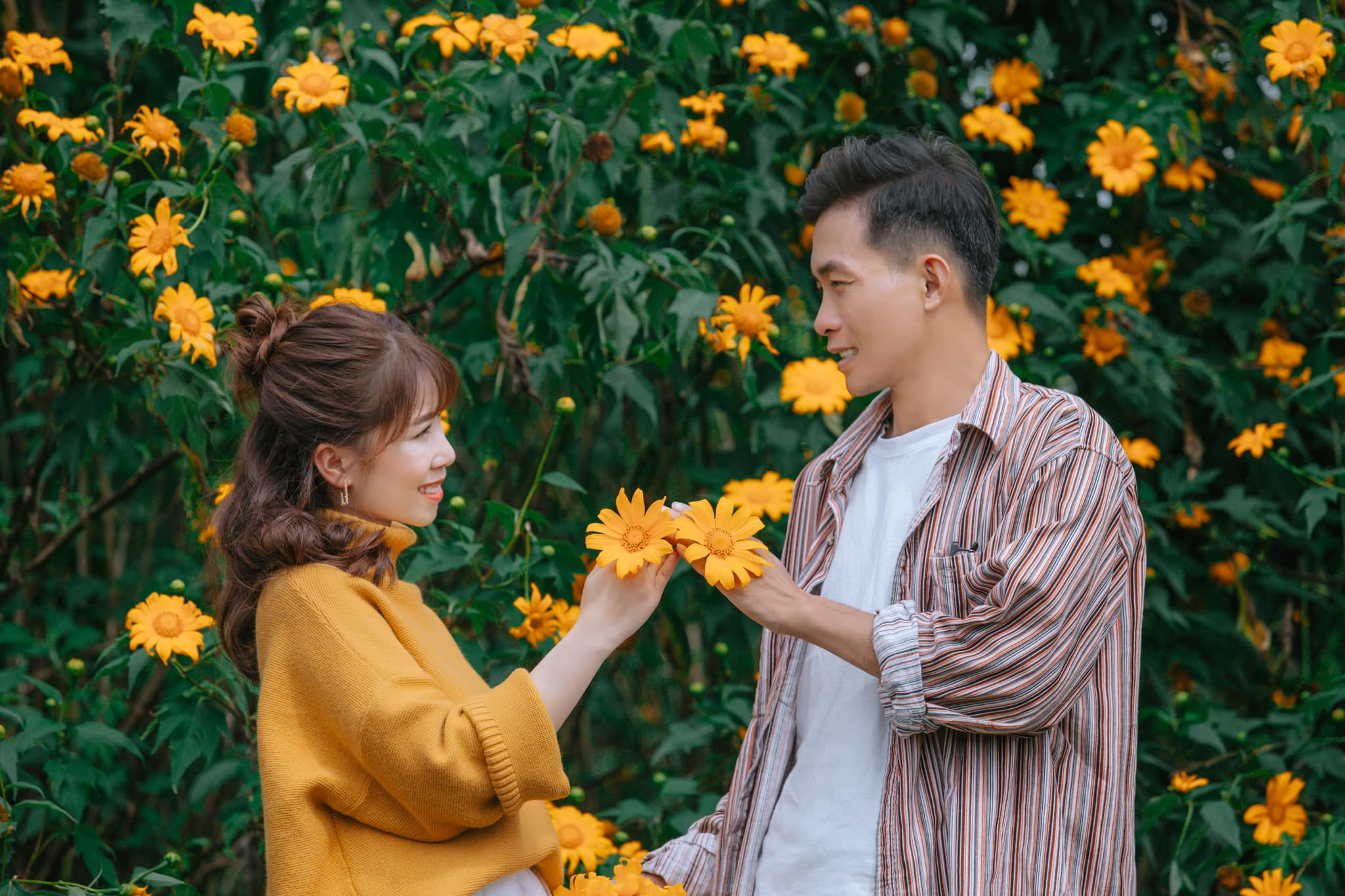 Ngắm Đà Lạt mùa hoa dã quỳ qua bộ ảnh lãng mạn của cặp đôi trẻ - Ảnh 5. Ngắm Đà Lạt mùa hoa dã quỳ qua bộ ảnh lãng mạn của cặp đôi trẻ - Ảnh 5.
