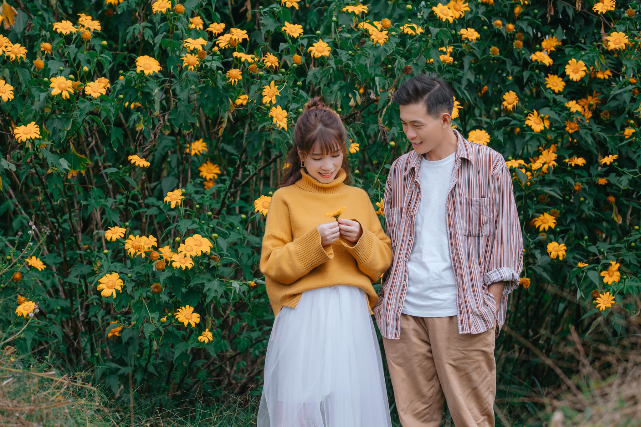 Ngắm Đà Lạt mùa hoa dã quỳ qua bộ ảnh lãng mạn của cặp đôi trẻ - Ảnh 8. Ngắm Đà Lạt mùa hoa dã quỳ qua bộ ảnh lãng mạn của cặp đôi trẻ - Ảnh 8.