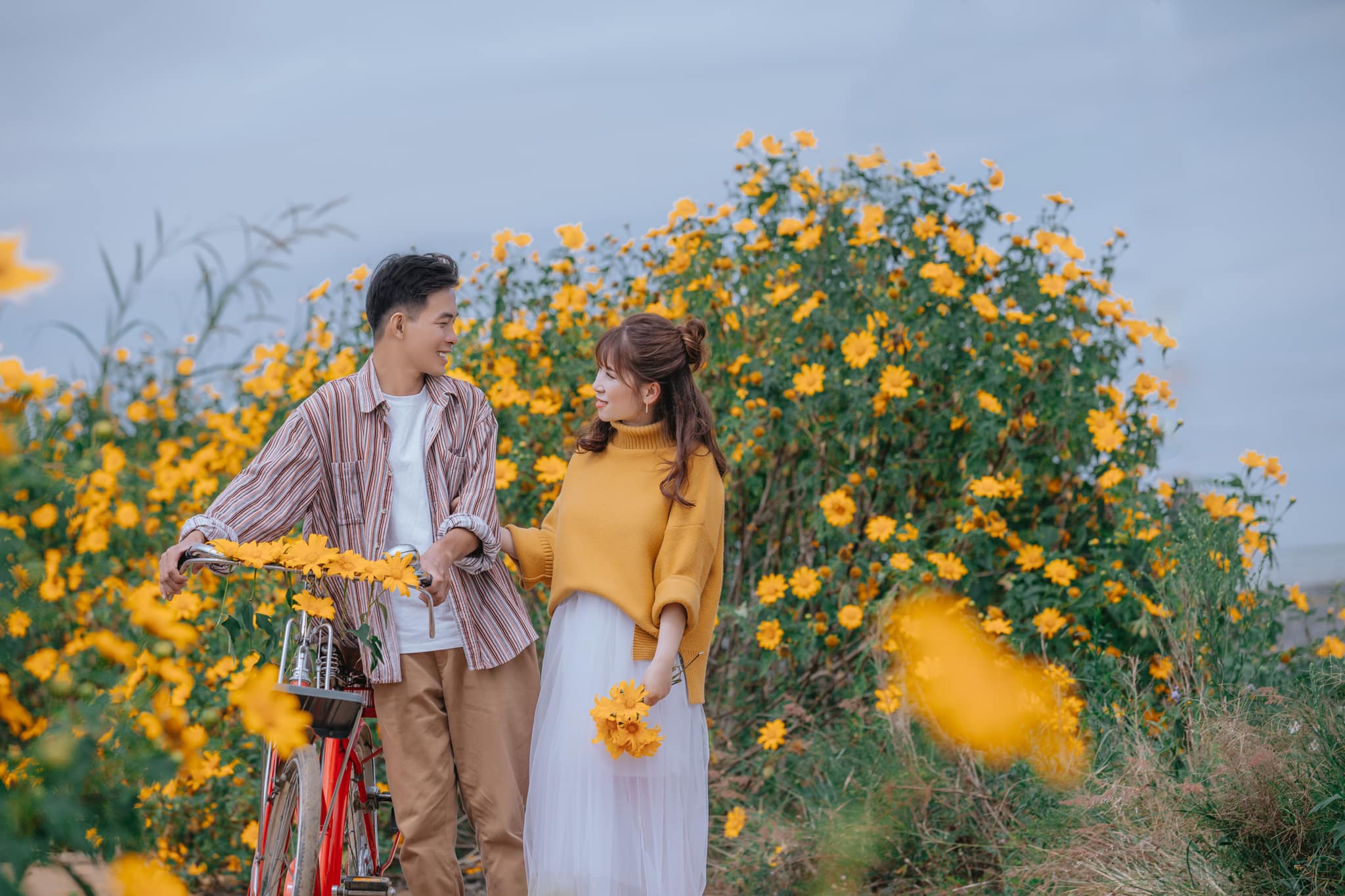 Ngắm Đà Lạt mùa hoa dã quỳ qua bộ ảnh lãng mạn của cặp đôi trẻ - Ảnh 1. Ngắm Đà Lạt mùa hoa dã quỳ qua bộ ảnh lãng mạn của cặp đôi trẻ - Ảnh 1.