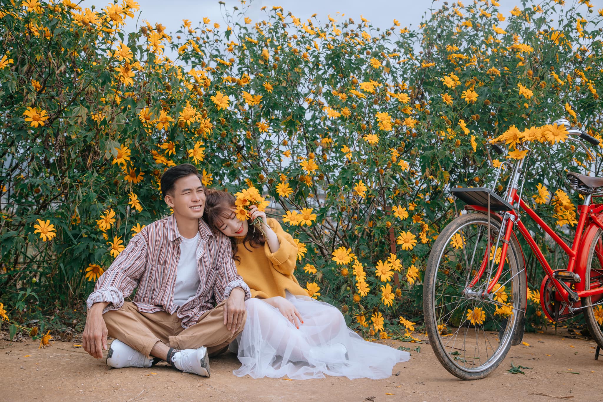 Ngắm Đà Lạt mùa hoa dã quỳ qua bộ ảnh lãng mạn của cặp đôi trẻ - Ảnh 2. Ngắm Đà Lạt mùa hoa dã quỳ qua bộ ảnh lãng mạn của cặp đôi trẻ - Ảnh 2.