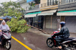 Thời tiết Đà Nẵng hôm nay 11/11: Tiếp tục mưa to đến rất to, miền Trung chuẩn bị đón bão số 13
