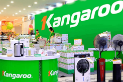 Lãi 9 tháng đầu năm của Kangaroo đạt 175 tỉ đồng