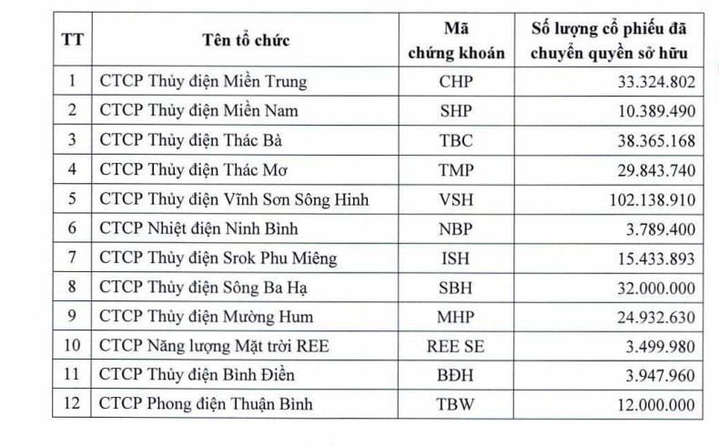 REE chuyển nhượng 12/14 cổ phiếu mảng điện cho công ty con - Ảnh 1. REE chuyển nhượng 12/14 cổ phiếu mảng điện cho công ty con - Ảnh 1.