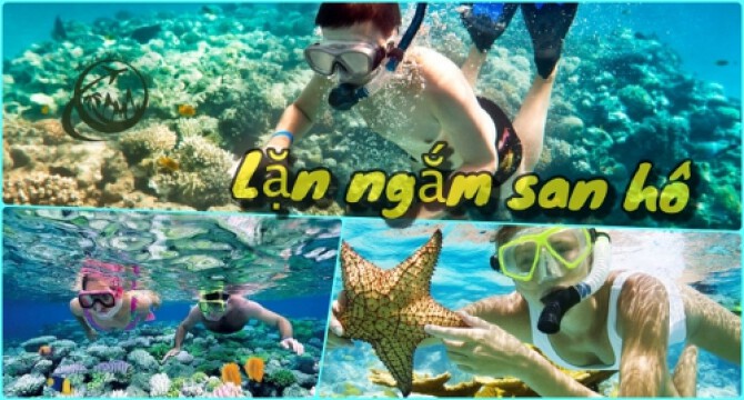 Kinh Nghiệm Lặn Biển Phú Quốc Ngắm San Hô Chi Tiết Nhất