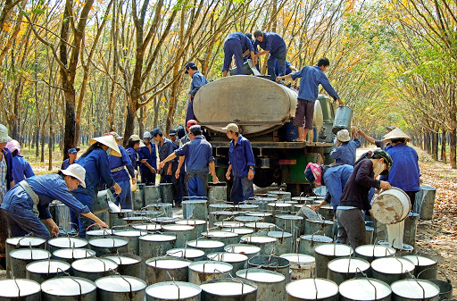 Xuất nhập khẩu Việt Nam và Lào tháng 9/2020: Nhập khẩu phần lớn cao su - Ảnh 1. Xuất nhập khẩu Việt Nam và Lào tháng 9/2020: Nhập khẩu phần lớn cao su - Ảnh 1.