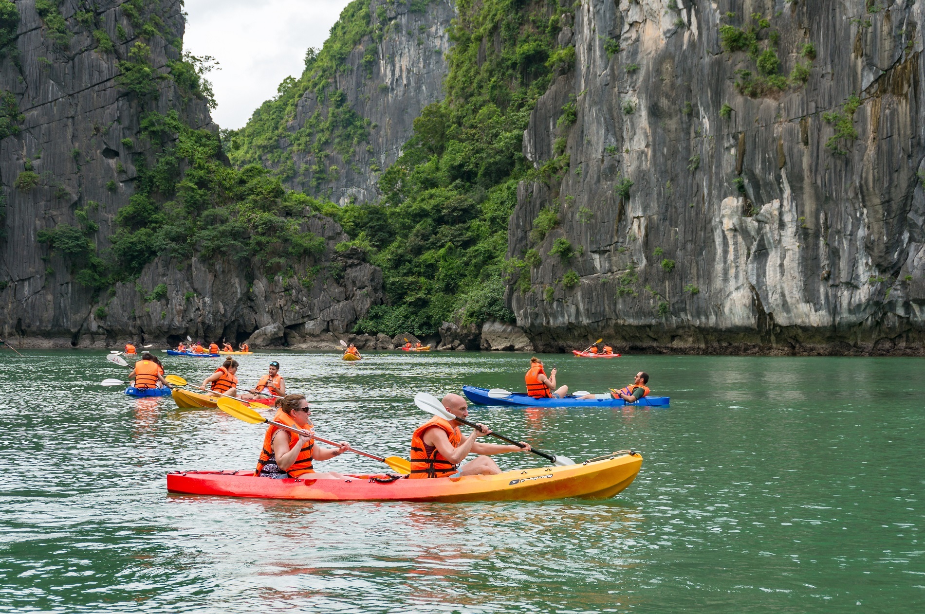 Về với đảo Cát Bà, trải nghiệm những hoạt động khám phá thiên nhiên đầy hấp dẫn - Ảnh 11. Về với đảo Cát Bà, trải nghiệm những hoạt động khám phá thiên nhiên đầy hấp dẫn - Ảnh 11.