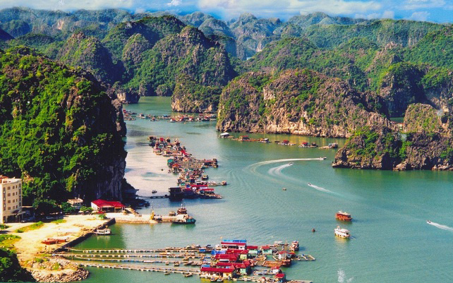 Về với đảo Cát Bà, trải nghiệm những hoạt động khám phá thiên nhiên đầy hấp dẫn - Ảnh 1. Về với đảo Cát Bà, trải nghiệm những hoạt động khám phá thiên nhiên đầy hấp dẫn - Ảnh 1.