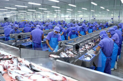 Tương lai sáng cho Vĩnh Hoàn trong năm tới