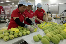 Xuất khẩu hàng hóa của Việt Nam sang Mỹ tăng 24% trong 10 tháng