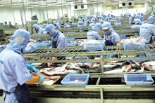 Hàng thủy sản đông lạnh được xác nhận là sản phẩm chế biến
