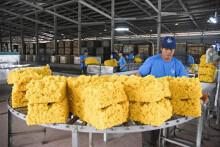 Xuất khẩu cao su sang Trung Quốc tăng mạnh