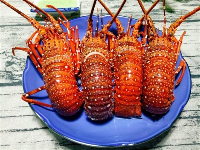 Xuất nhập khẩu Việt Nam và Chile tháng 5/2020: Hàng thủy sản chiếm gần 50% kim ngạch nhập khẩu - Ảnh 1.