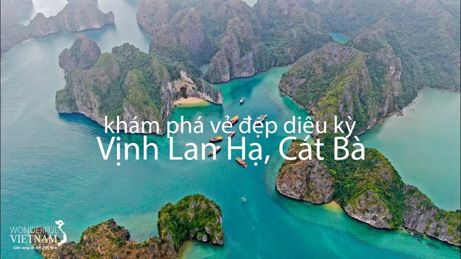 Tổng Hợp Kinh Nghiệm Du Lịch Vịnh Lan Hạ Chi Tiết