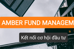 Quản lí quĩ Amber bị xử phạt