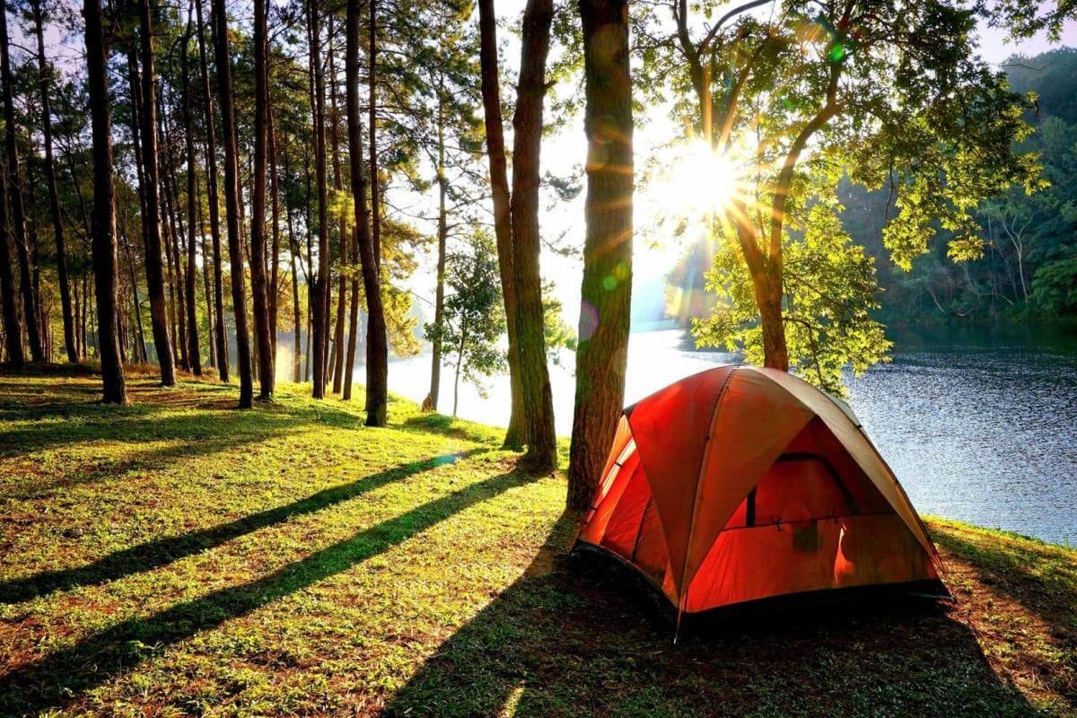 Những trải nghiệm không nên bỏ lỡ ở hồ Kẻ Gỗ, Hà Tĩnh - Ảnh 7. Những trải nghiệm không nên bỏ lỡ ở hồ Kẻ Gỗ, Hà Tĩnh - Ảnh 7.