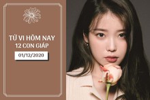 Tử vi hàng ngày hôm nay 1/12 của 12 con giáp: Tuất có xích mích tình cảm, Dậu sớm ‘đổi đời’ về tài vận